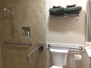 Accessibility Remodel